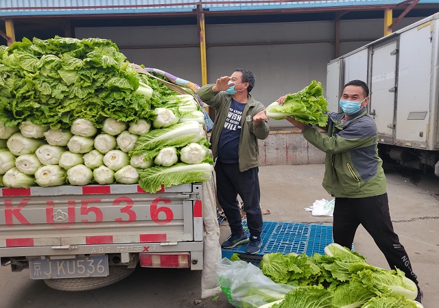 志广快猫在线播放加大“冬储菜”调运，全力做好保供稳价